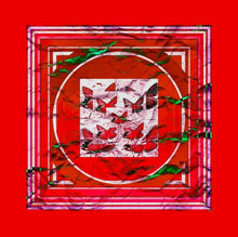 Carica l'immagine nel visualizzatore di Gallery, Foulard linea Farfalle due