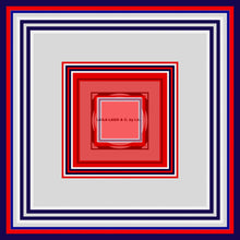 Carica l'immagine nel visualizzatore di Gallery, Foulard in seta linea -LA FENICE-