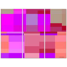 Carica l'immagine nel visualizzatore di Gallery, Pnnelllo artistico linea Cogli l' attimo